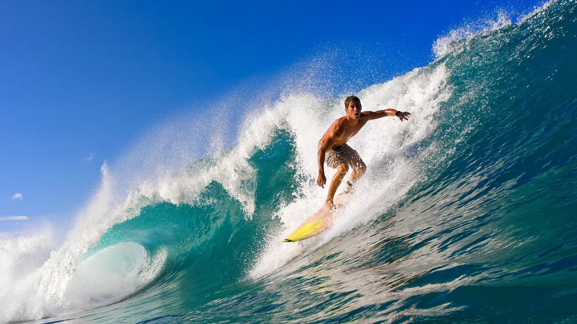 体育赛事观众增长报告